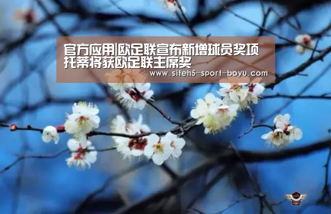 官方应用|欧足联宣布新增球员奖项 托蒂将获欧足联主席奖(图1) 官方应用