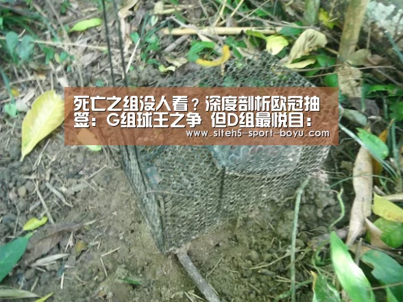 死亡之组没人看?深度剖析欧冠抽签:G组球王之争 但D组最悦目:官方应用(图1) 博鱼体育APP
