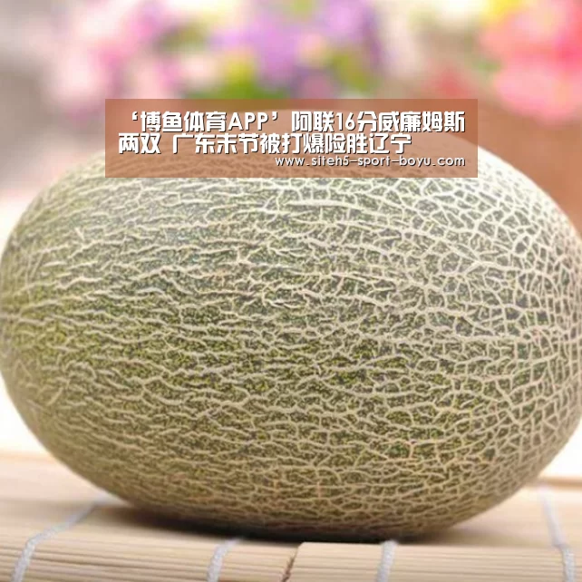 ‘博鱼体育APP’阿联16分威廉姆斯两双 广东末节被打爆险胜辽宁(图1) 博鱼体育APP