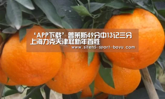 博鱼体育APP
