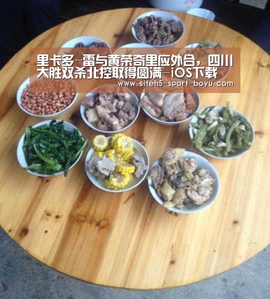 里卡多-雷与黄荣奇里应外合,四川大胜双杀北控取得圆满-iOS下载(图1) Android下载