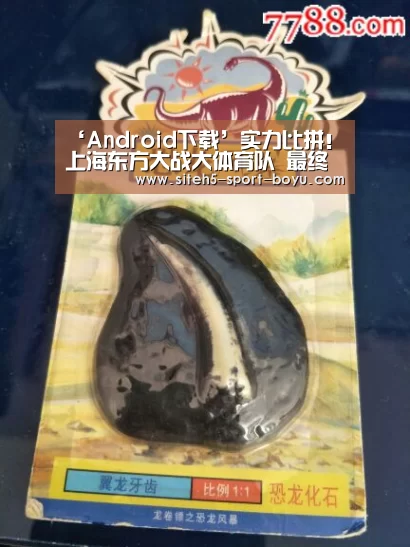 ‘Android下载’实力比拼!上海东方大战大体育队 最终上海险胜夺冠(图4) Android下载