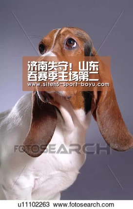 济南失守!山东吞赛季主场第二败 压力重回肩上|APP下载(图4) Android下载