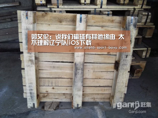 官方应用